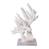 Staghorn Coral On Acrylic Base - 3 Sizes