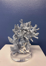 Heliopora Coerula Blue Coral On Acrylic Riser