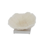 Bowl Coral On Acrylic Base - 2 Sizes