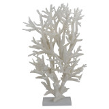 Staghorn Coral Creation Tall On Acrylic Base