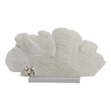 Black Cup Coral Bleached 20"-25" On Acrylic Base