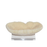 Feather Peanut Coral On Acrylic Base - 2 Sizes
