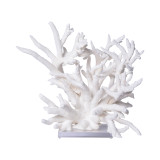 Staghorn Coral Creation Wide On Acrylic Base