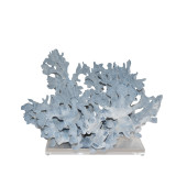 Blue Coral 18-20 Inch On Acrylic Base
