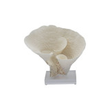 Cup Coral On Acrylic Base - 3 Sizes