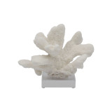 Cats Paw Coral On Acrylic Base - 3 Sizes