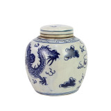Blue And White Mini Jar Dragon