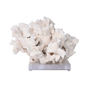 Rugosa Coral on Acrylic Base - 3 Sizes