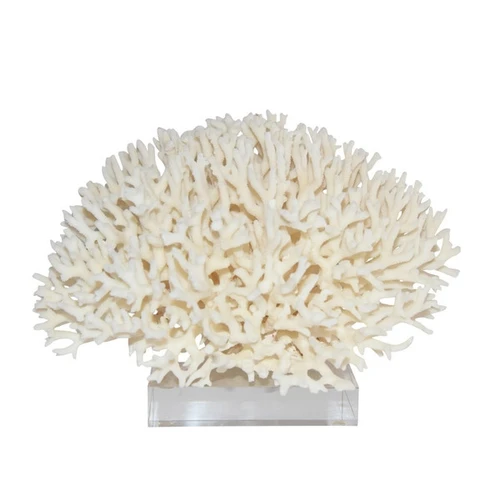 Birdsnest Coral On Acrylic Base - 3 Sizes