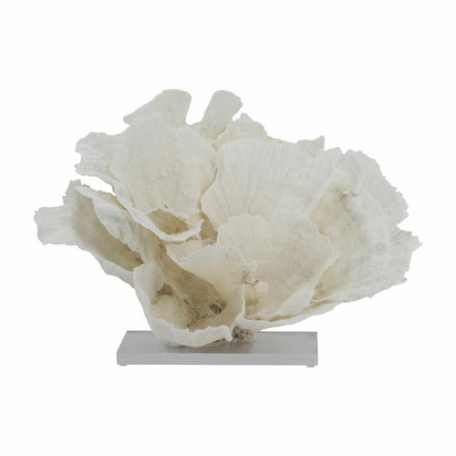 Merulina Coral Creation On Acrylic Base
