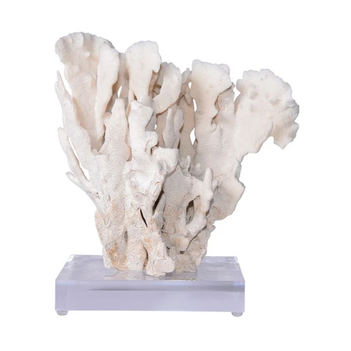 Cactus Coral On Acrylic Base - 3 Sizes