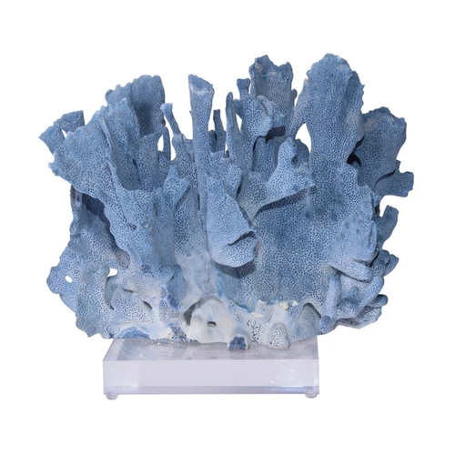 Blue Coral On Acrylic Base - 3 Sizes