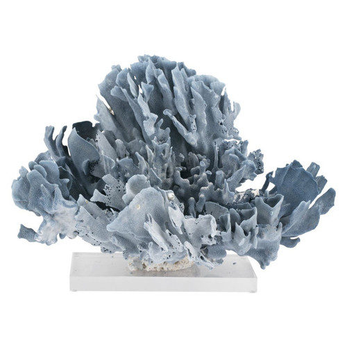 Blue Coral Creation On Acrylic Base S