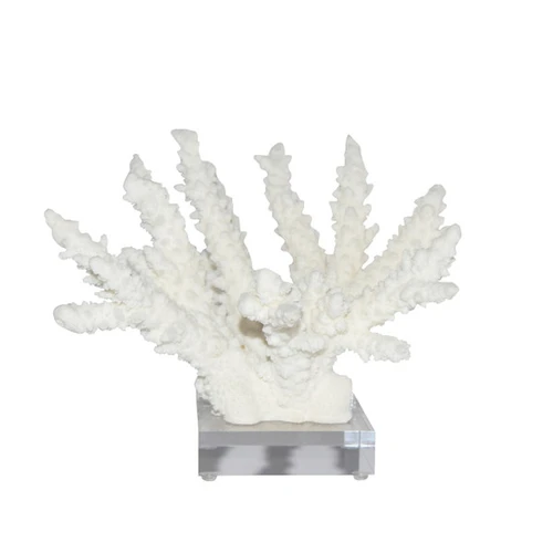 Branch Coral On Acrylic Base - 4 Sizes