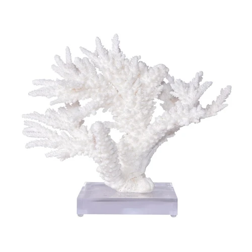 Branch Coral On Acrylic Base - 4 Sizes