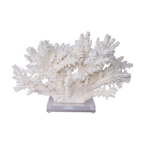 Branch Coral On Acrylic Base Extra Large - 2 Sizes