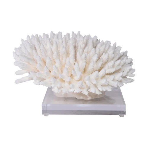 Finger Coral On Acrylic Base - 3 Sizes
