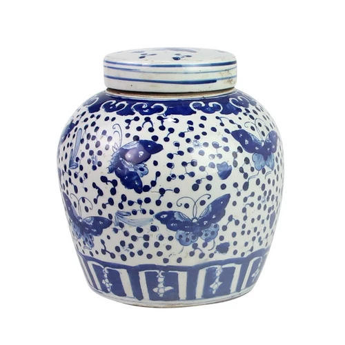 Blue And White Ming Jar Butterfly