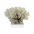 Cluster Coral On Acrylic Base - 3 Sizes