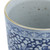 Blue & White Porcelain Climbing Vines Orchid Pot