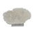 Table Coral Special On Acrylic Base - 3 Sizes