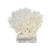 Birdsnest Coral On Acrylic Base - 3 Sizes
