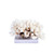 Brownstem Coral On Acrylic Base - 3 Sizes