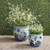 Blue And White Porcelain Magnolia Pheasant Planter Lion Handle - 2 Sizes