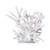 Staghorn Coral Creation Wide On Acrylic Base