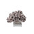 Barnacle Coral On Acrylic Base  - 3 Sizes