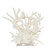 Staghorn Coral 18 Inch Full On Acrylic Base