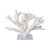 Branch Coral On Acrylic Base - 4 Sizes