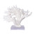Branch Coral On Acrylic Base - 4 Sizes
