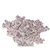 Wide Banacle Coral Creation On Acrylic Base