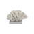Elkhorn Coral On Acrylic Base - 3 Sizes