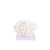 Finger Coral On Acrylic Base - 3 Sizes