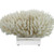 Finger Coral On Acrylic Base - 3 Sizes
