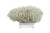 Finger Coral On Acrylic Base - 3 Sizes