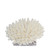 Finger Coral On Acrylic Base - 3 Sizes