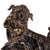 Pair of Black Peking Lion Statues