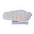 Table Coral On Acrylic Base - 3 Sizes