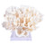 Poca Coral Full Shape On Acrylic Base - 2 Sizes