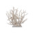 Octopus Coral Creation On Acrylic Base Small