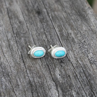 silver plated brass earrings with turquoise stone detailing 