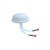 Small Form Factor MIMO In-Building Ceiling Antenna