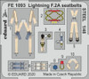 EDUFE1093 1/48 Eduard Lightning F.2A seatbelts Steel for Airfix FE1093 MMD Squadron