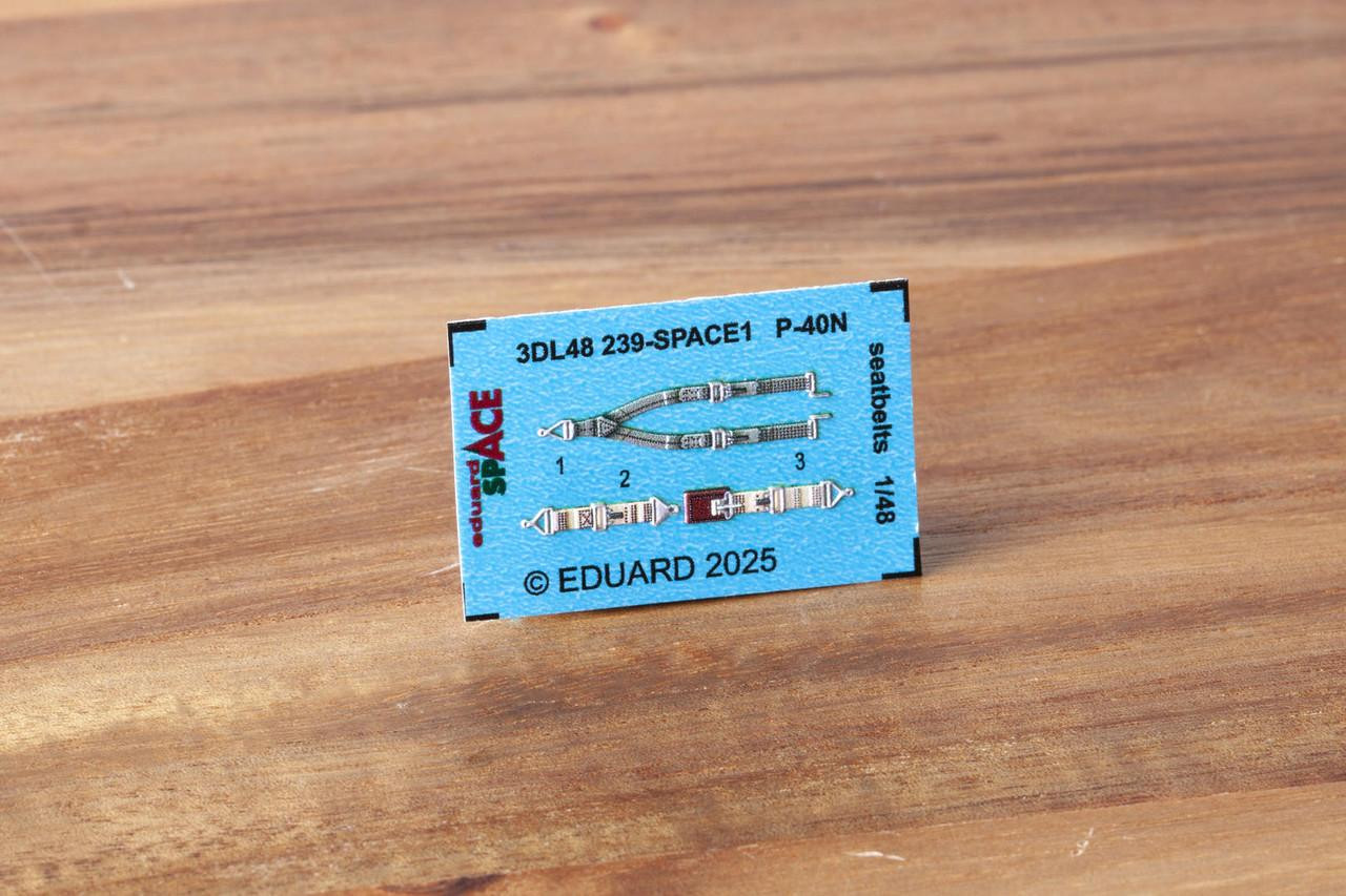 A.E.マルティ☆ファッションプレート『LE NID DE PINSONS』 1/48 Eduard P-40N seatbelts SPACE - Squadron.com