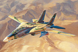 HBB81771 1/48 Hobby Boss Persian Cat F-14A TomCat - IRIAF  MMD Squadron