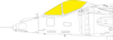 EDUEX771 1/48 Eduard Mask Harrier GR1/3 TFace for KIN EX771 MMD Squadron