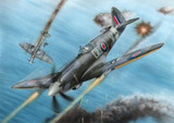 CMK-100-SH72227 1/72 Special Hobby Spitfire F Mk.21 No 91 SqRAF in WWII Plastic Model Kit MMD Squadron